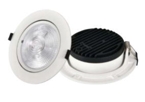 LED Downlight